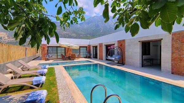 Villa Grape